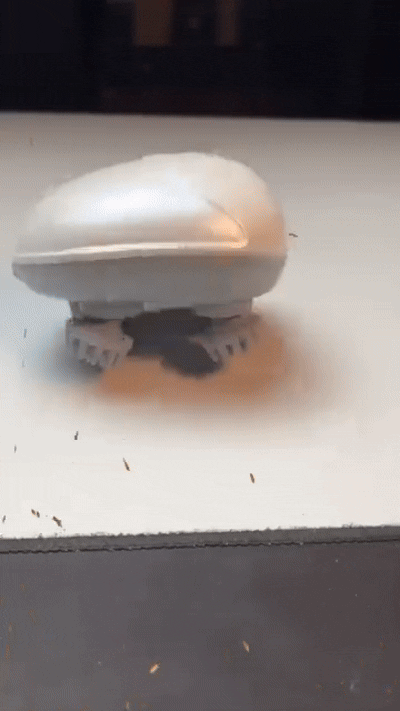 Electric Head Scalp Massager – Rechargeable Deep Relaxation Machine with One-Touch Control